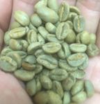 コーヒー生豆